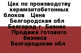 Цех по производству керамзитобетонных блоков › Цена ­ 2 700 000 - Белгородская обл., Белгород г. Бизнес » Продажа готового бизнеса   . Белгородская обл.